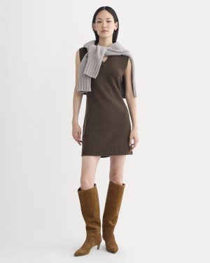 Sweater Mini Dress in Luxe Merino | Coffee Bean