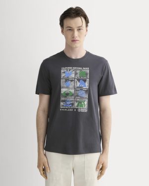 The Everlane x Parks Project Essential Organic Crew | Forged Iron / Natural / Granada Sky Blue / Green